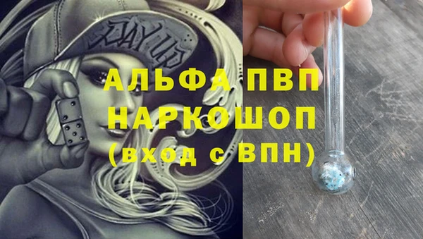 твердый Сясьстрой
