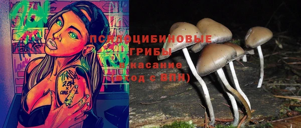 скорость Горняк