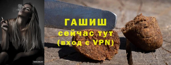 твердый Сясьстрой