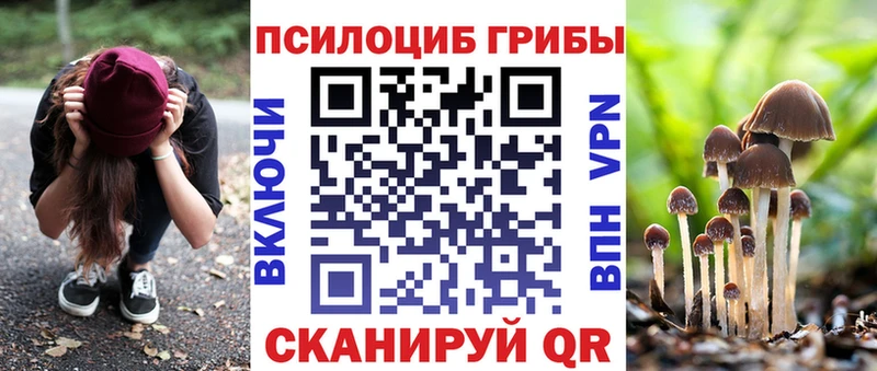 Купить  Белокуриха  Галлюциногенные грибы Cubensis 